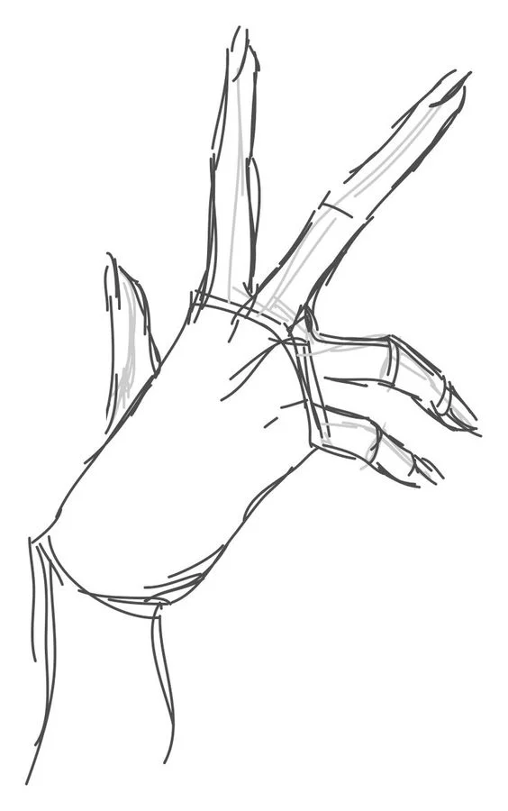 Basic Sketch of a Hand