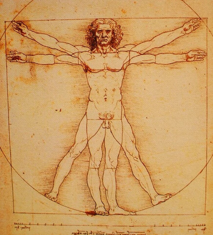 The Vitruvian Man