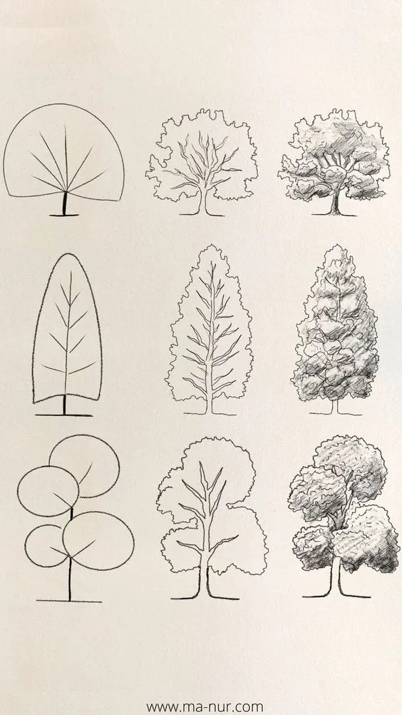 Tree Sketches