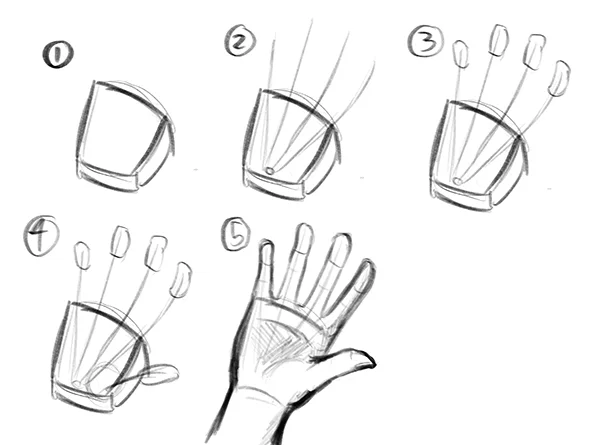 Loomis Method for Drawing a Hand