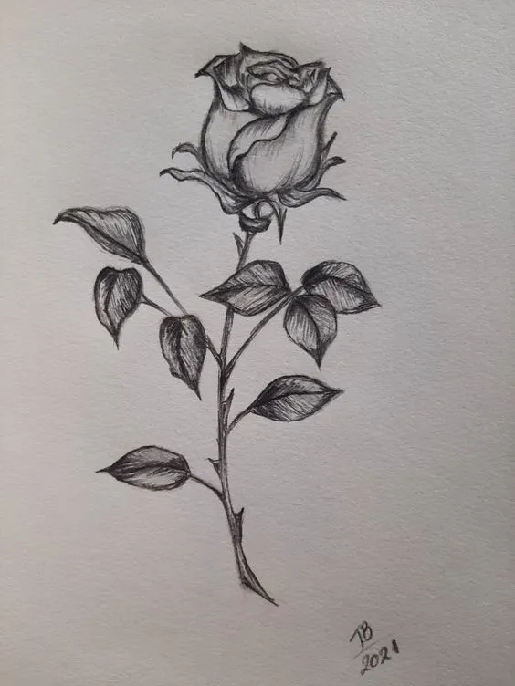 Learn How to Draw a Flower - A Beginner's Guide